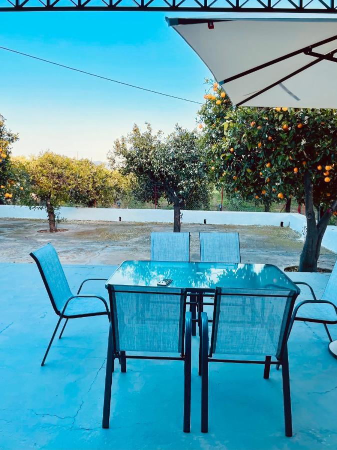 Вілла Citrus Garden Epidaurus Екстер'єр фото