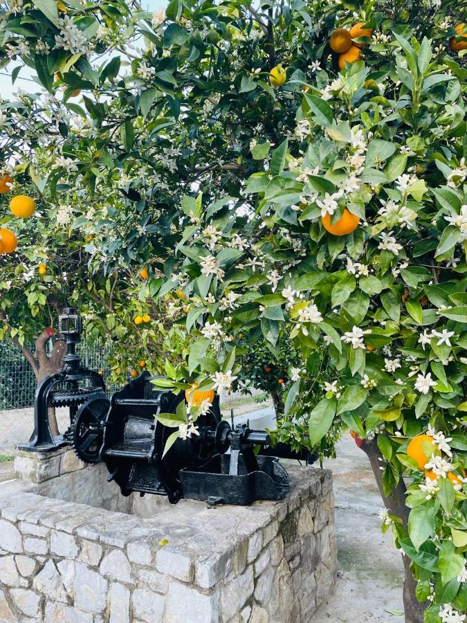 Вілла Citrus Garden Epidaurus Екстер'єр фото