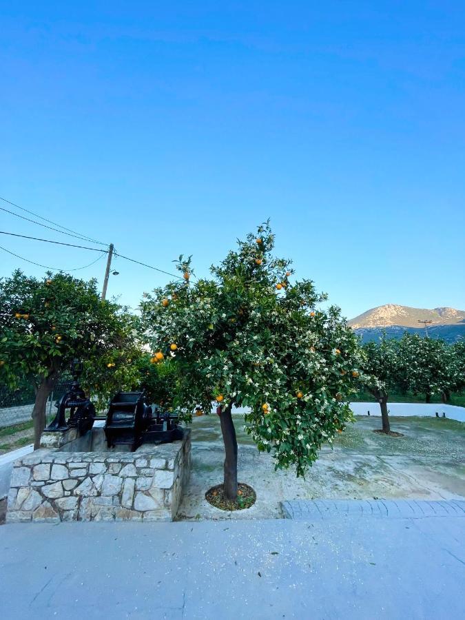 Вілла Citrus Garden Epidaurus Екстер'єр фото
