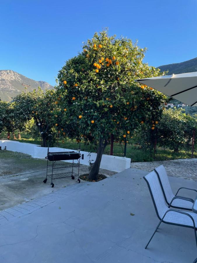 Вілла Citrus Garden Epidaurus Екстер'єр фото