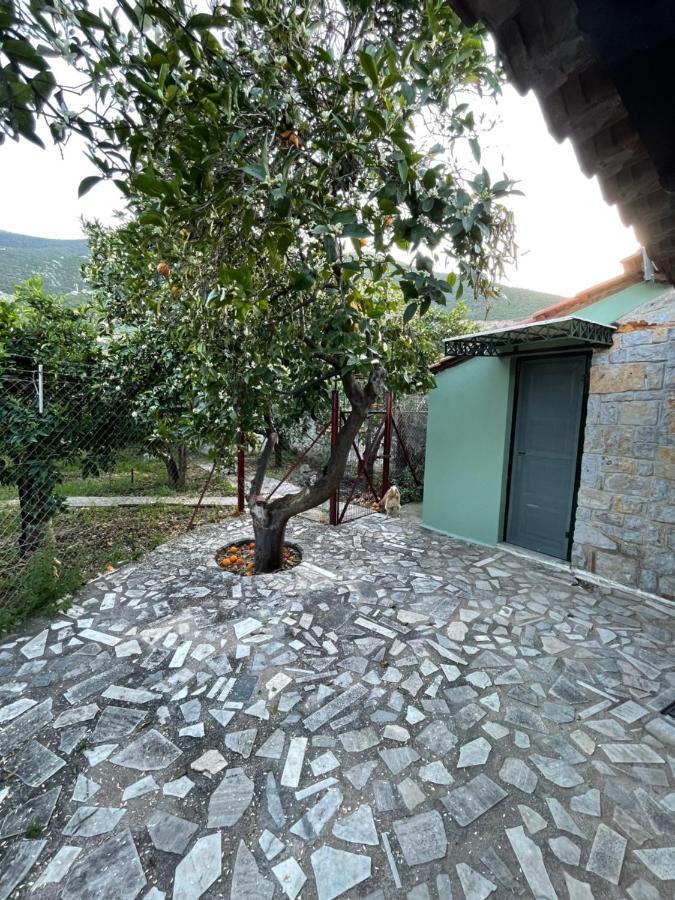 Вілла Citrus Garden Epidaurus Екстер'єр фото